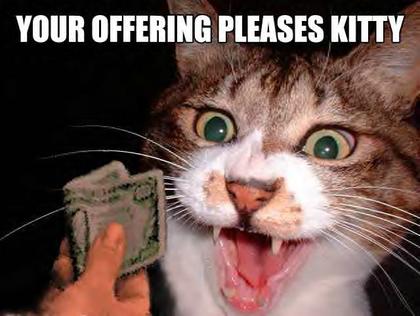 UR offering pleases kitty!