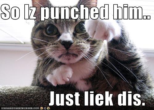 I punched him, just liek dis! lol cat pics