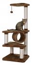 Tag: cat scratching tree | CatLovingCare.com