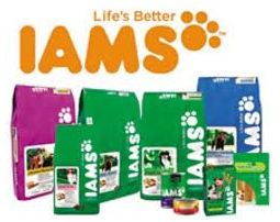 Travelling with your cat - IAMS cat food