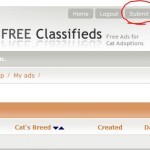Cat Adoptions Free Classifieds - Submit Ads1